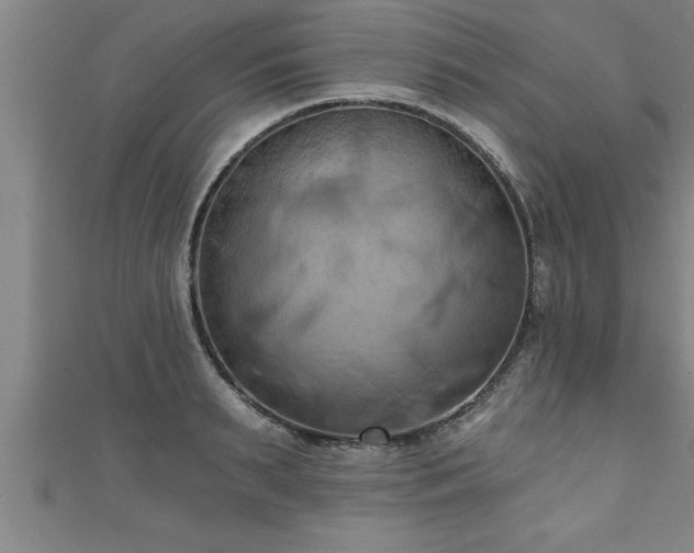 X0000111360895200907171201