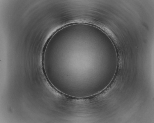 X0000111360896200907171201