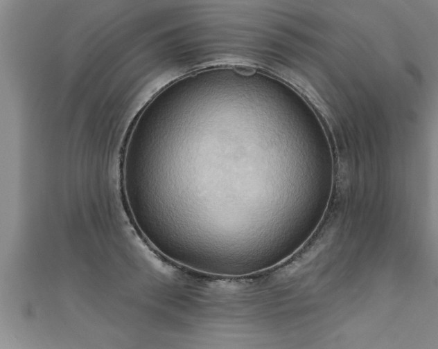 X0000111360898200907171201