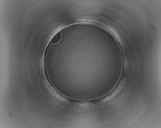 X0000111360899200907171201