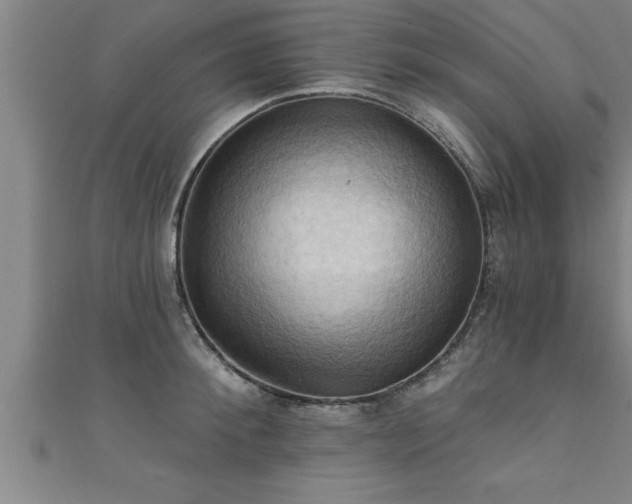X0000111360900200907171201
