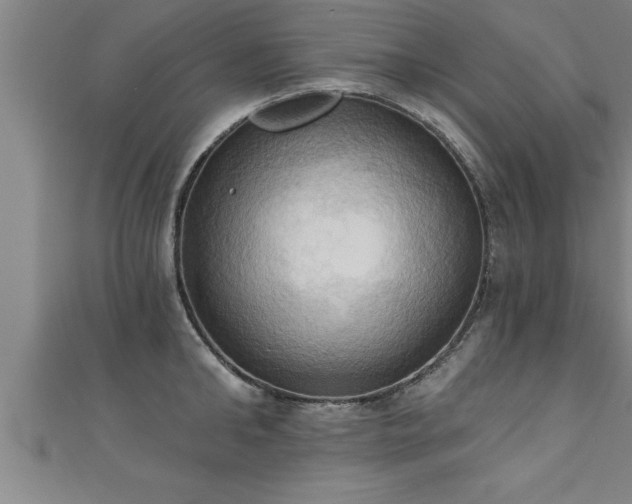 X0000111360902200907171201