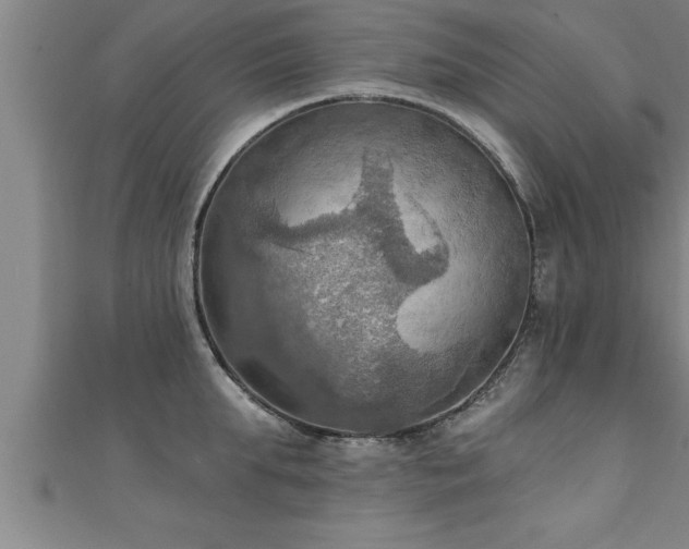 X0000111360903200907171201
