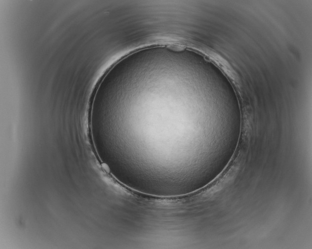 X0000111360904200907171201