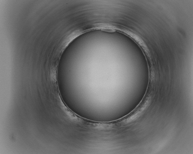 X0000111360905200907171201
