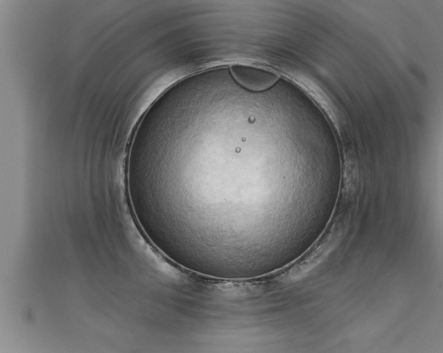 X0000111360906200907171201