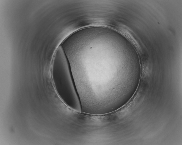 X0000111360908200907171201