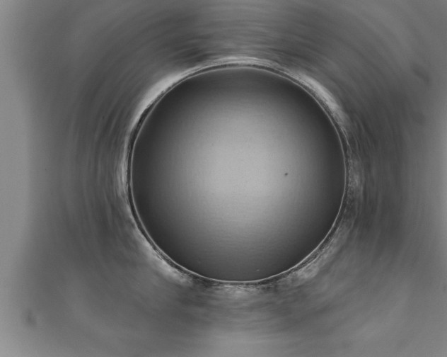 X0000111360910200907171201