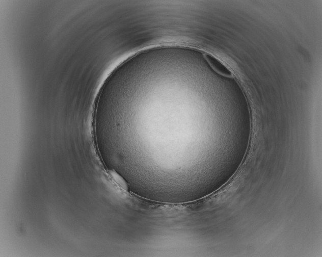 X0000111360912200907171201