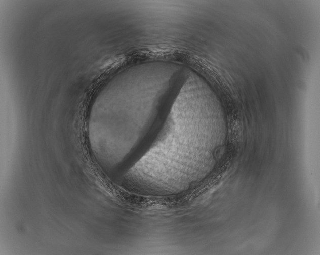 X0000111360913200907171200