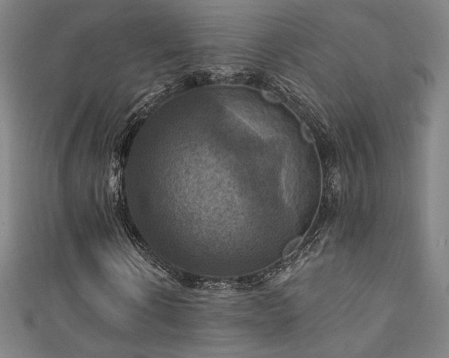 X0000111360914200907171200