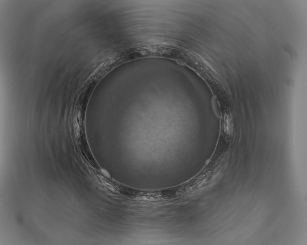 X0000111360915200907171200