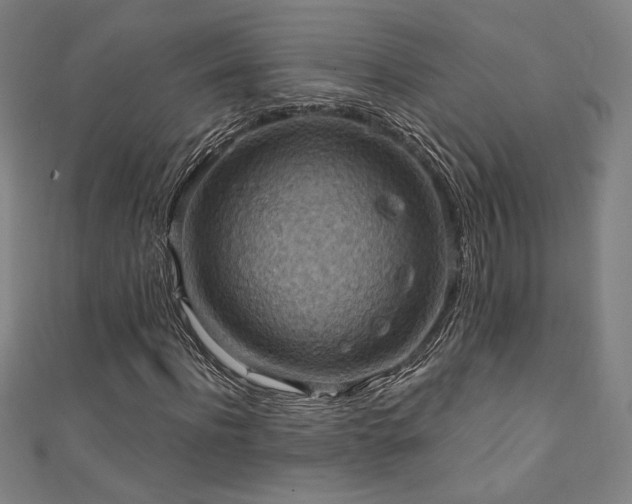 X0000111360916200907171200
