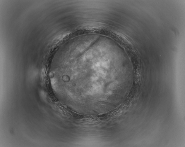 X0000111360917200907171200