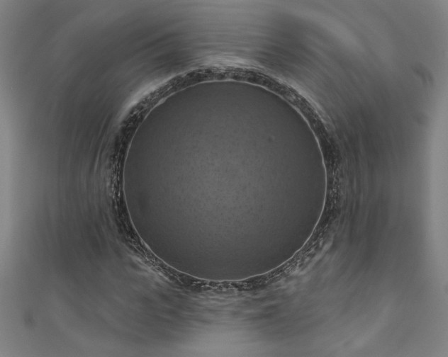 X0000111360919200907171200