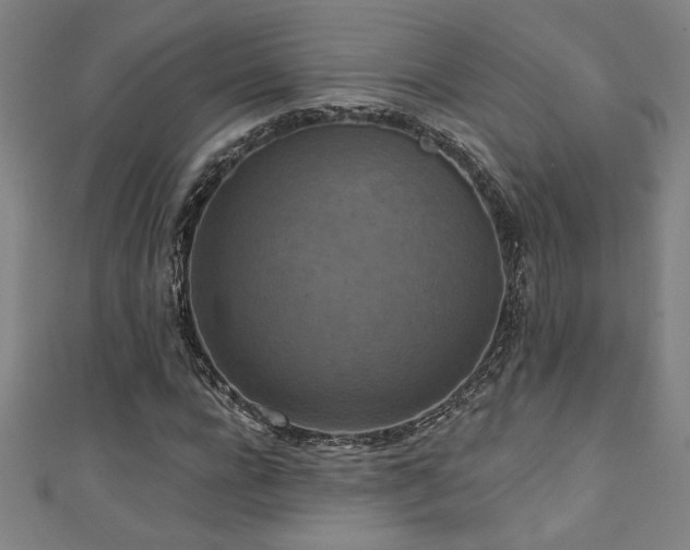 X0000111360920200907171200