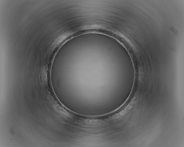 X0000111360921200907171201