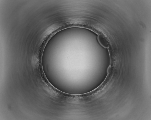 X0000111360922200907171201
