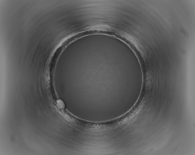 X0000111360923200907171201