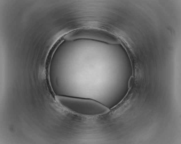 X0000111360924200907171201