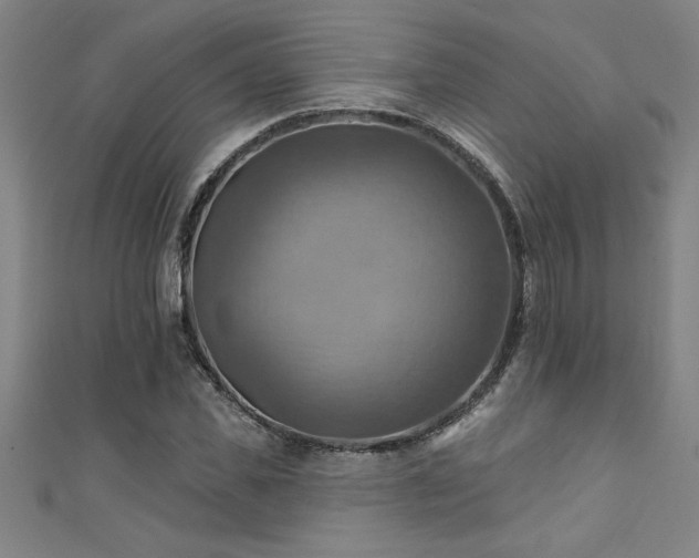 X0000111360925200907171201