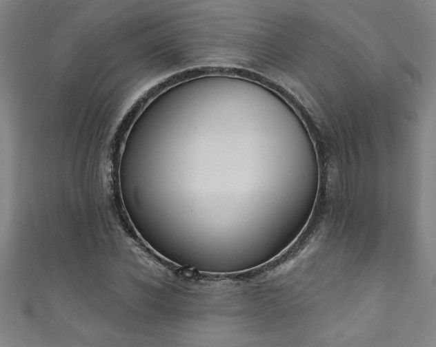 X0000111360926200907171201
