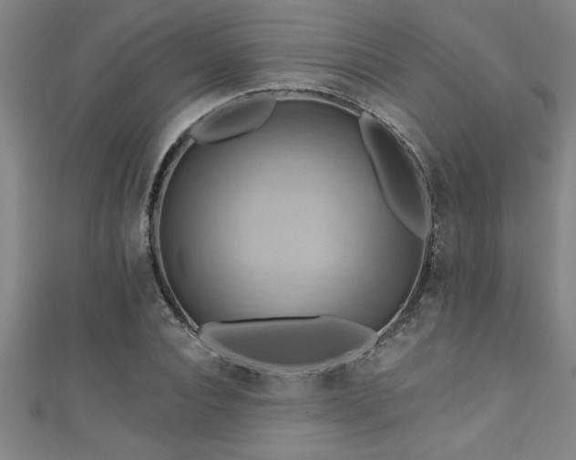 X0000111360928200907171201