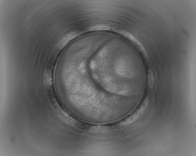 X0000111360929200907171201