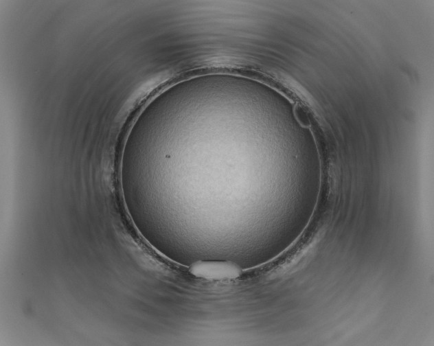 X0000111360930200907171201
