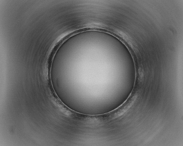 X0000111360931200907171201