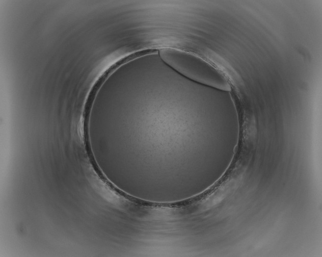 X0000111360932200907171201