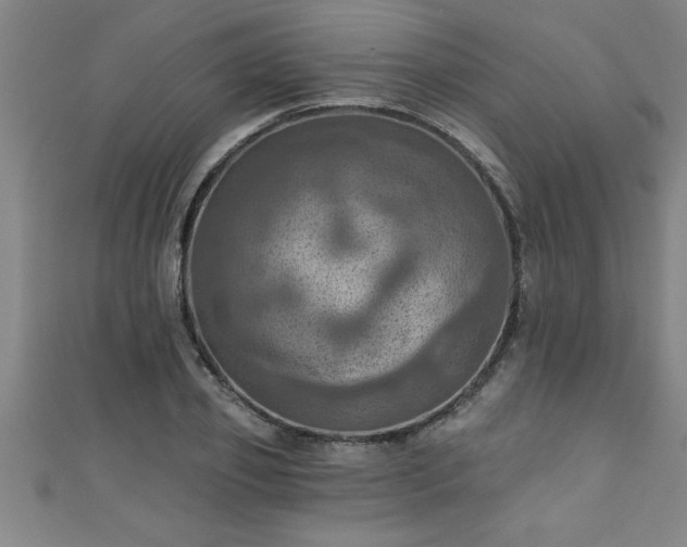 X0000111360933200907171201