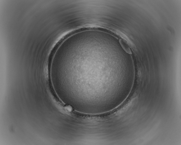 X0000111360934200907171201