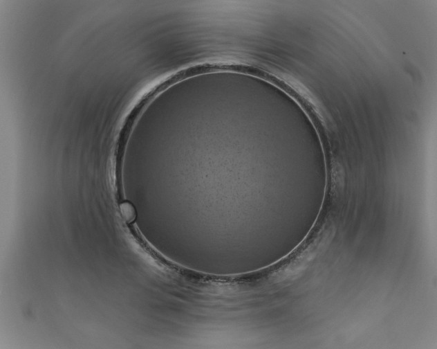 X0000111360935200907171201