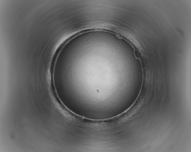 X0000111360936200907171201