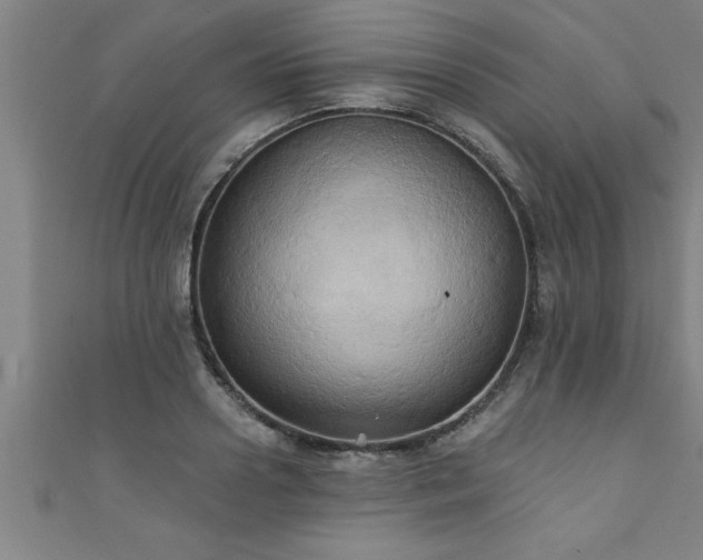 X0000111360938200907171201