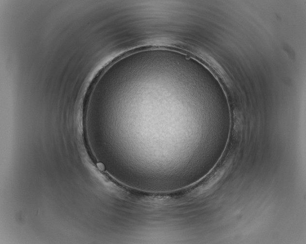 X0000111360939200907171201
