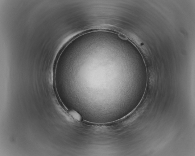 X0000111360940200907171201