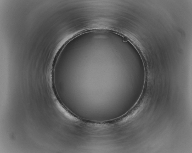 X0000111360941200907171201