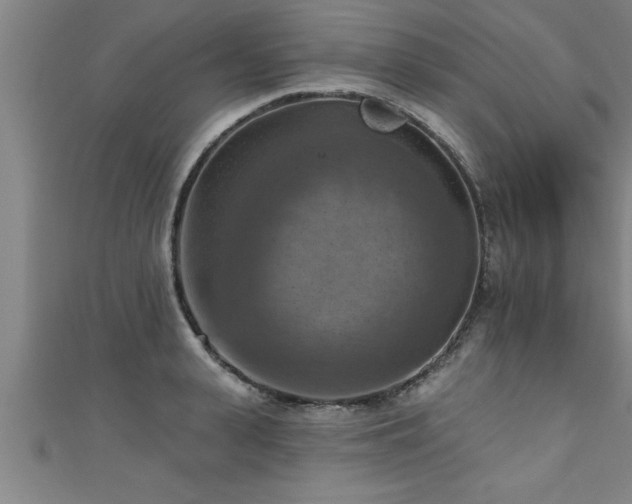 X0000111360943200907171201