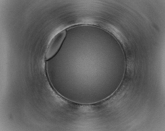 X0000111360944200907171201