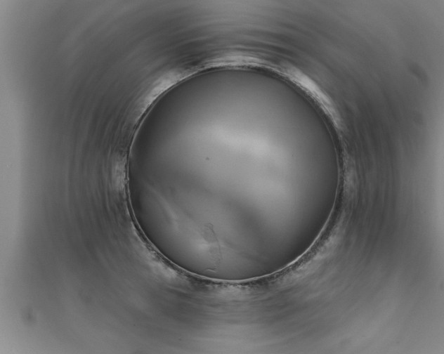 X0000111360945200907171201