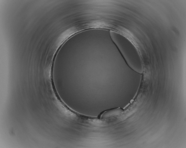 X0000111360946200907171201