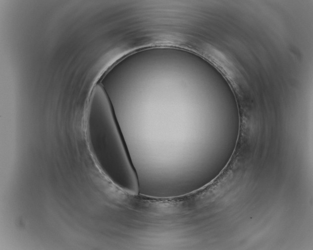 X0000111360948200907171201