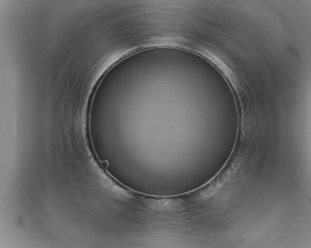 X0000111360949200907171201