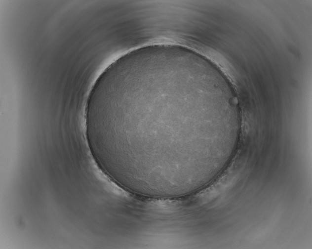 X0000111360950200907171201