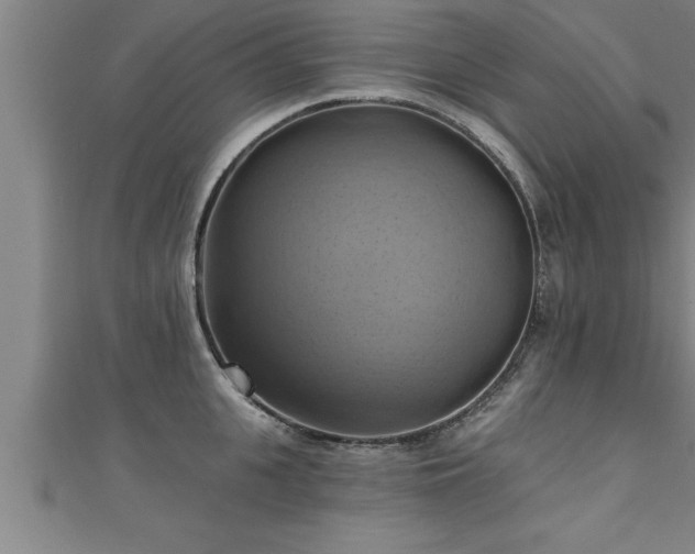 X0000111360951200907171201