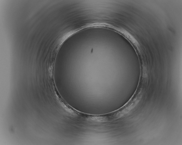 X0000111360953200907171201