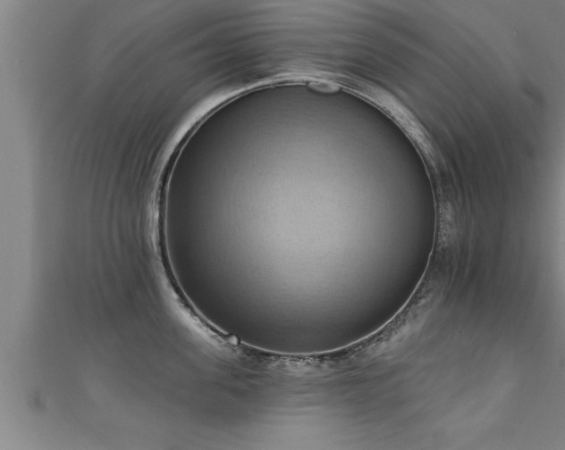 X0000111360955200907171201