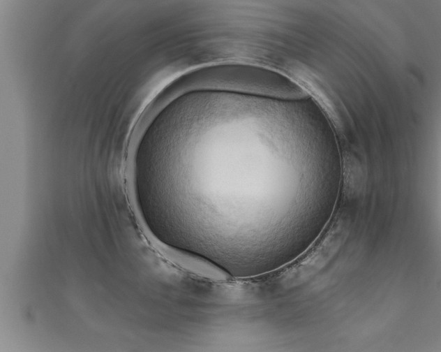X0000111360956200907171201